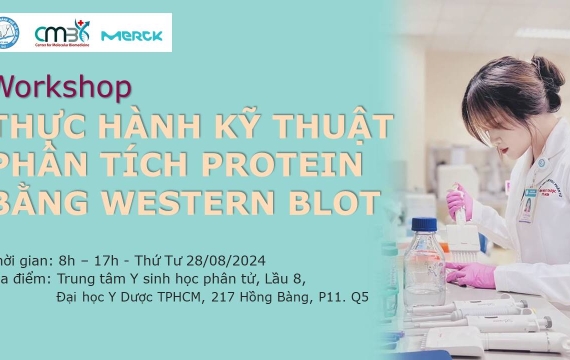 HỘI THẢO “THỰC HÀNH KỸ THUẬT PHÂN TÍCH PROTEIN BẰNG WESTERN BLOT” 28/08/2024